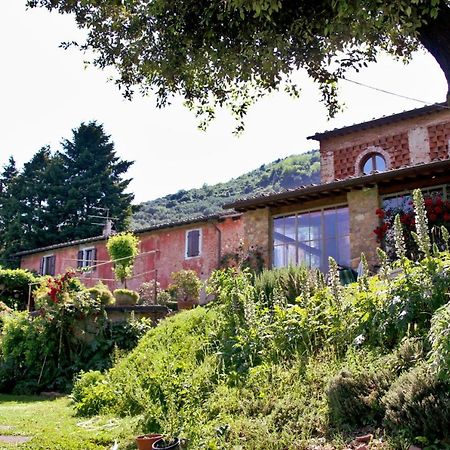 Casa Gaia Pension Lucca Buitenkant foto