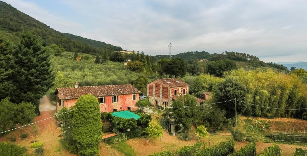 Casa Gaia Pension Lucca Buitenkant foto